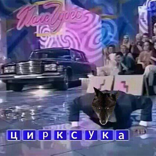 СМС животное автомобиль