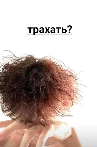 СМС шиньон Человек