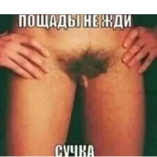 Sticker Трансформация - 2