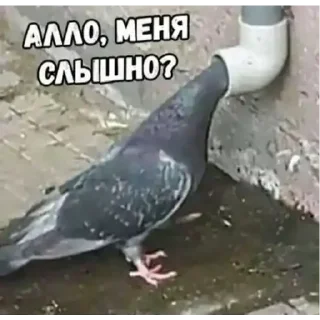 Sticker Трансформация - 7