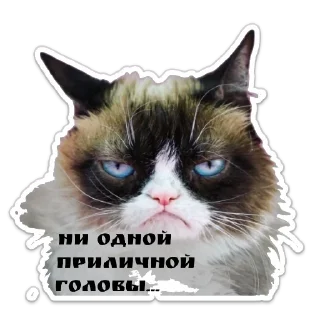 Sticker Трансформация - 3