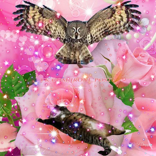 butterfly animal bird