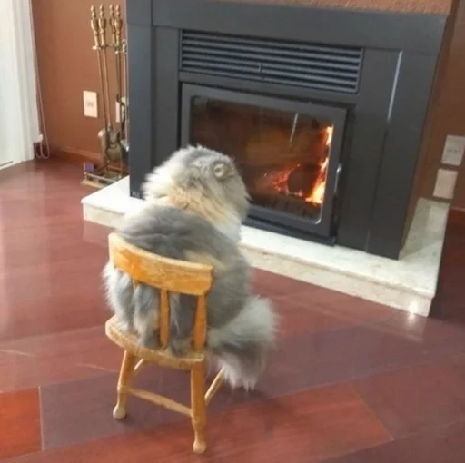 floor hearth furniture