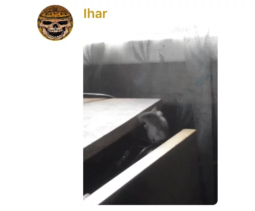 Sticker #даунытрешбокса - telegram edition - 6