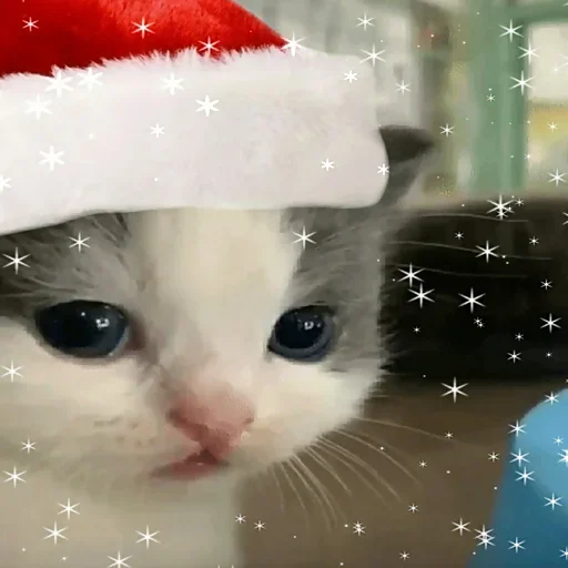 Sticker 🎄Happy new year🎄 @stickers_vk - 8