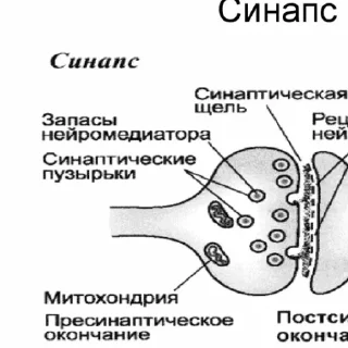 Sticker суп из ухи уже на стене - 6