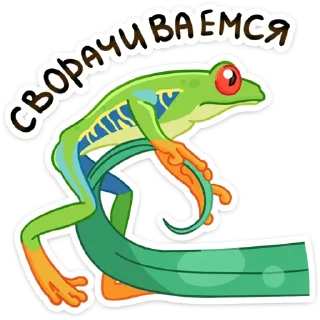 Стикер Квакша (@TgSticker) - 0