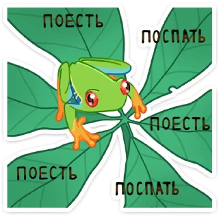 Стикер Квакша (@TgSticker) - 1