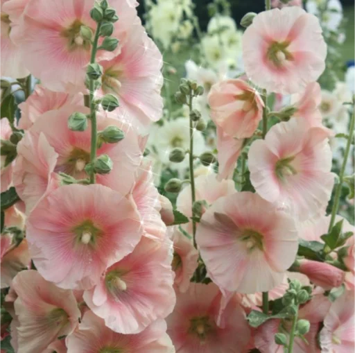 Стикер trendyU - 1