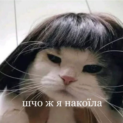 Стикер trendyU - 1