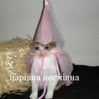 Sticker ТРЕНДИ UA @trendy_U - 1