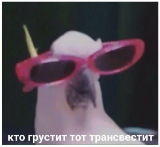 Стикер Важнейшие переговоры🤣 - 10