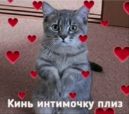 Стикер Важнейшие переговоры🤣 - 6