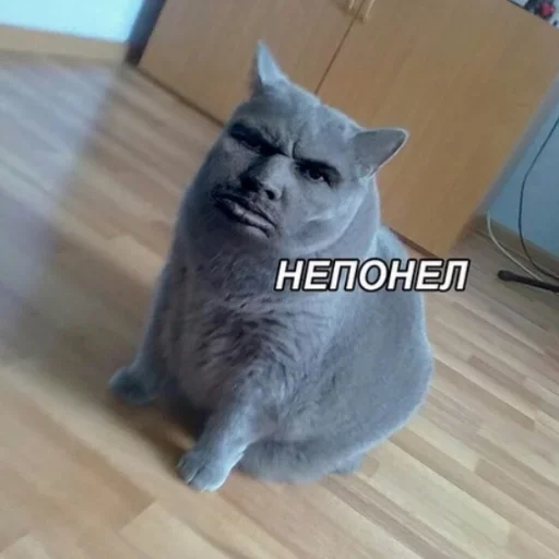 Стикер Важнейшие переговоры🤣 - 0