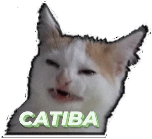 кошки малого и среднего размера кошачьи животное