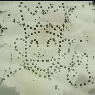 Sticker Trigun!! - 1