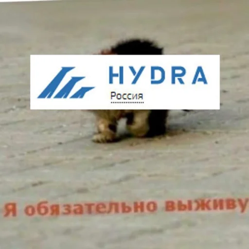 СМС животное млекопитающее