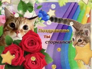 Sticker TRIP CHAT STICKERS PACK 2 - 5