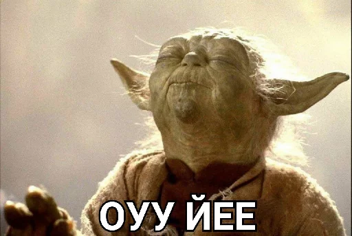 screenshot animal mammal