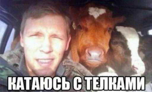 млекопитающее животное человеческое лицо