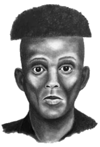 sketch human face portrait