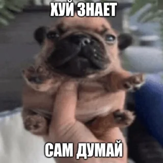 Sticker троляки хуесосы - 4