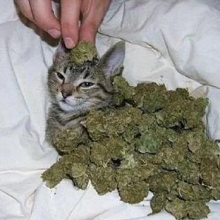 Стикер TRUE - 3