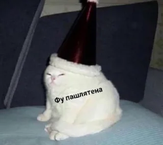 Sticker трусы от Burberry - 10