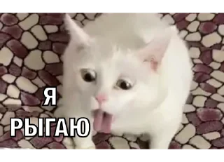 Sticker трусы от Burberry - 7