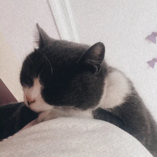 Sticker tryewfger - 1