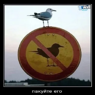 Sticker @sexstikkers - 4