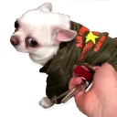 Sticker Цобакк - 5