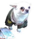 Sticker Цобакк - 3