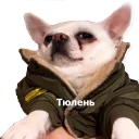 Sticker Цобакк - 4
