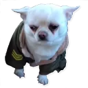 Sticker Цобакк - 0