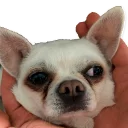 Sticker Цобакк - 8