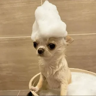 Sticker Больше стиков тут: @stikery4 - 7