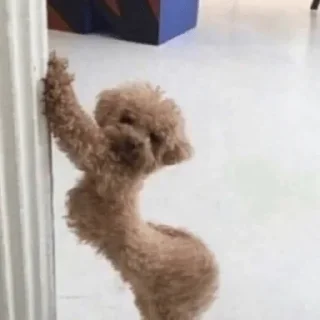 Sticker Больше стиков тут: @stikery4 - 0