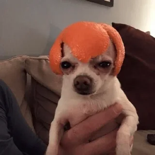 Sticker Больше стиков тут: @stikery4 - 3