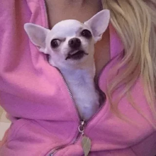 Sticker Больше стиков тут: @stikery4 - 2