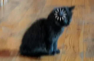 Sticker Больше стикеров: @sticerru - 11