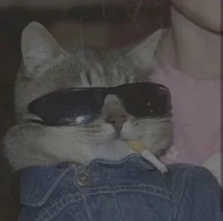 Sticker Больше стикеров: @sticerru - 5