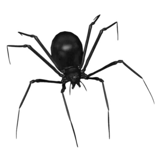 Стикер @thmskitty дрейн чёрные :: @fStikBot - 7