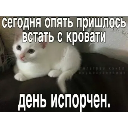 Больше стиков тут: @stikery4 - 