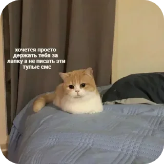 Sticker Больше стиков тут: @stikery4 - 10