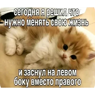 Sticker Больше стиков тут: @stikery4 - 3