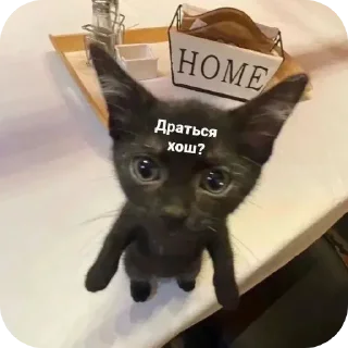 Sticker Больше стиков тут: @stikery4 - 2