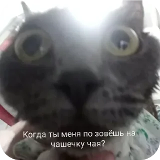 Sticker Больше стиков тут: @stikery4 - 5