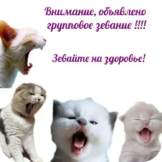 Sticker Больше стиков тут: @stikery4 - 1