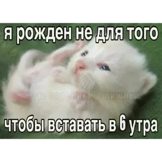 Sticker Больше стиков тут: @stikery4 - 0